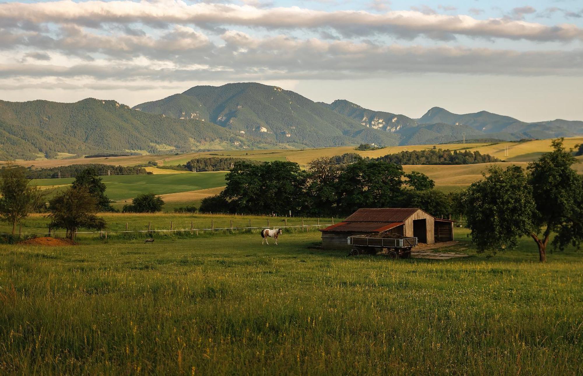 Apartmán Ranč Martin Esterno foto